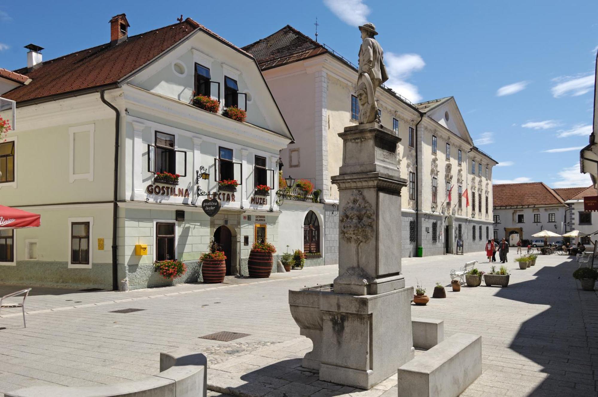 Pension Lectar Hotel Radovljica Buitenkant foto