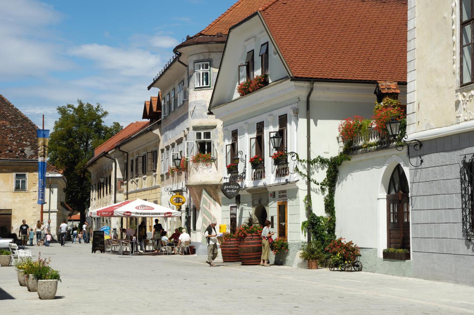 Pension Lectar Hotel Radovljica Buitenkant foto